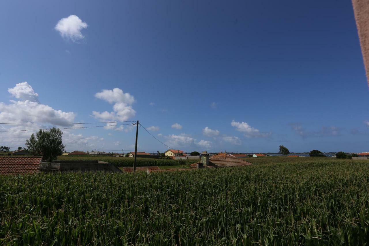 Ria De Aveiro White House Holiday home